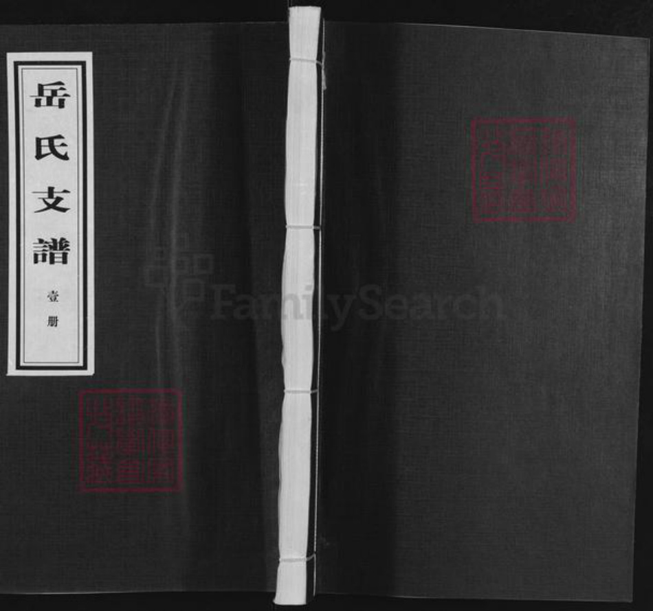 山东省临沂市沂水县岳氏族谱-岳氏支谱.pdf电子版