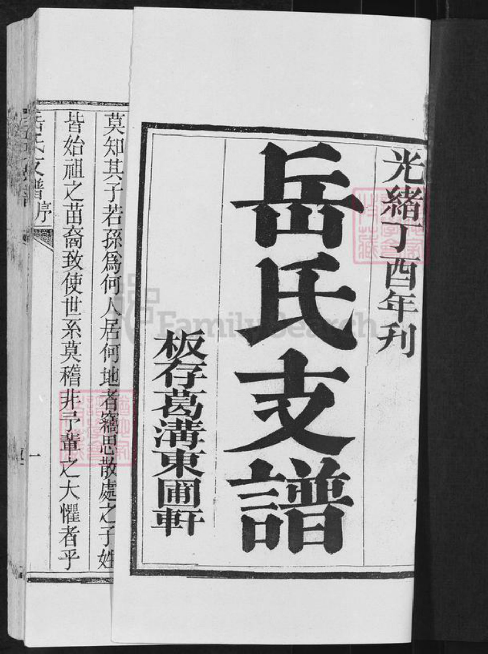 山东省临沂市沂水县岳氏族谱-岳氏支谱.pdf电子版插图1