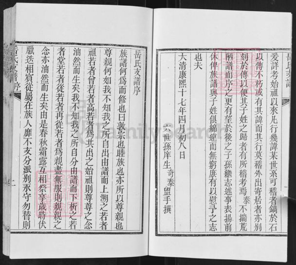 山东省临沂市沂水县岳氏族谱-岳氏支谱.pdf电子版插图3