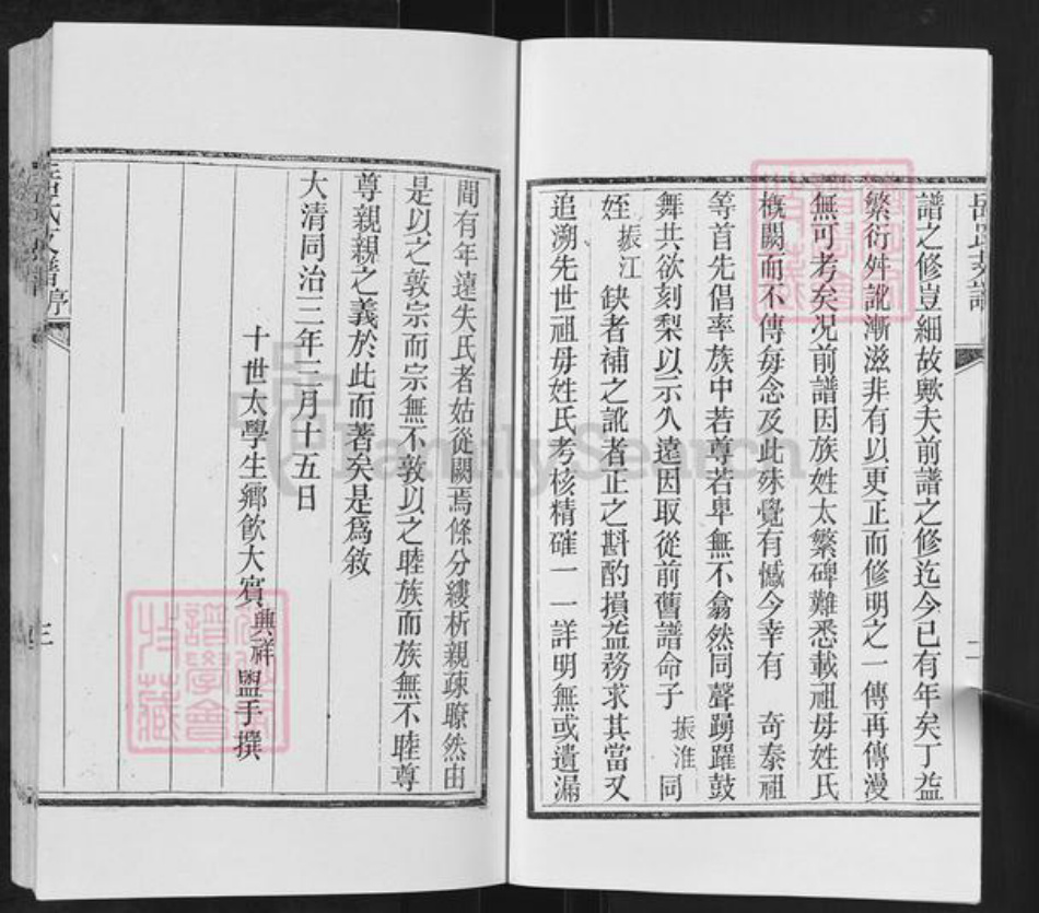 山东省临沂市沂水县岳氏族谱-岳氏支谱.pdf电子版插图4