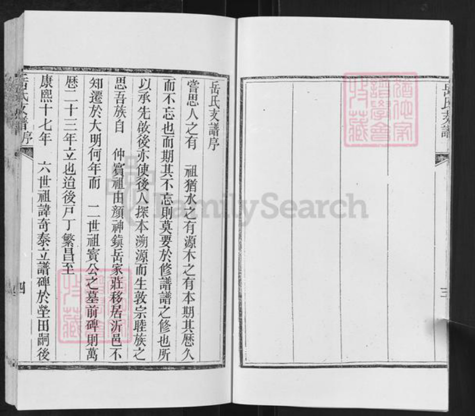 山东省临沂市沂水县岳氏族谱-岳氏支谱.pdf电子版插图5