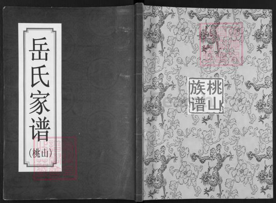 安徽省宿州市埇桥区岳氏精忠堂族谱-岳氏家谱.桃山.pdf电子版
