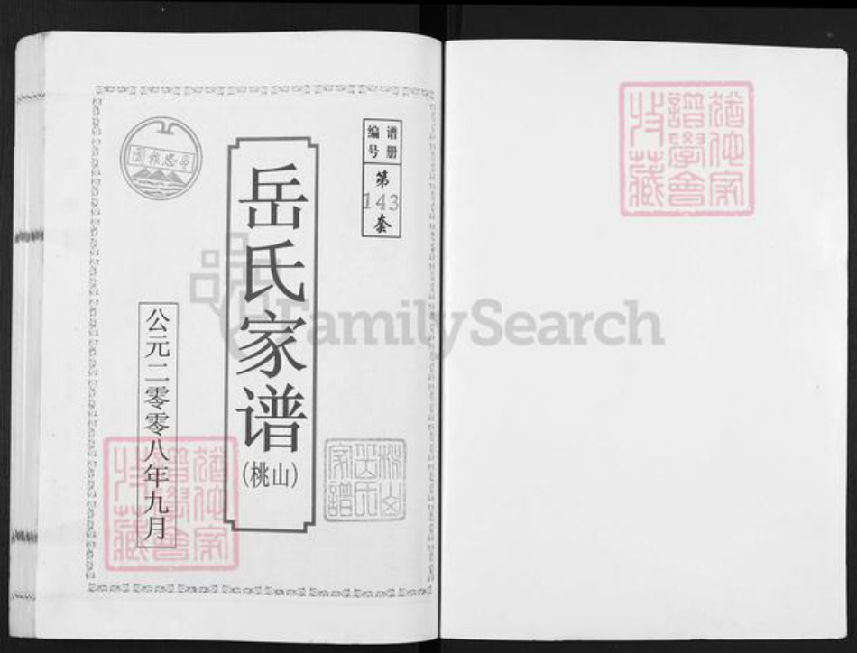 安徽省宿州市埇桥区岳氏精忠堂族谱-岳氏家谱.桃山.pdf电子版插图1