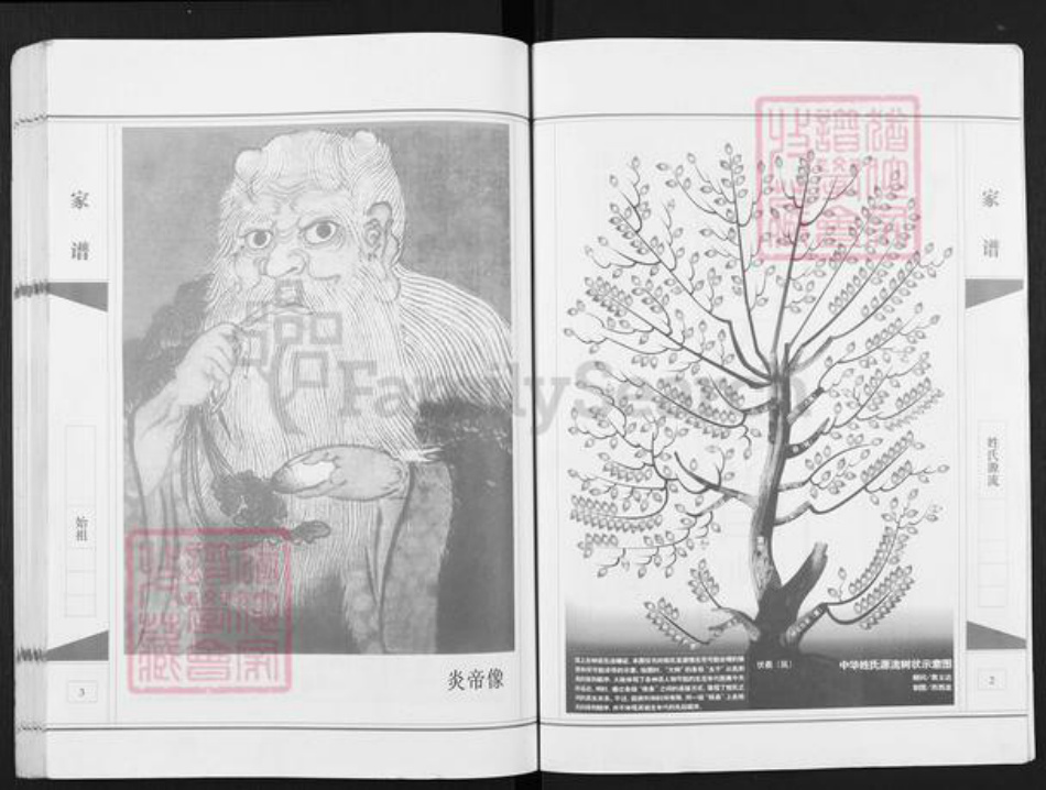 安徽省宿州市埇桥区岳氏精忠堂族谱-岳氏家谱.桃山.pdf电子版插图2