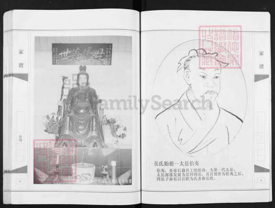 安徽省宿州市埇桥区岳氏精忠堂族谱-岳氏家谱.桃山.pdf电子版插图3