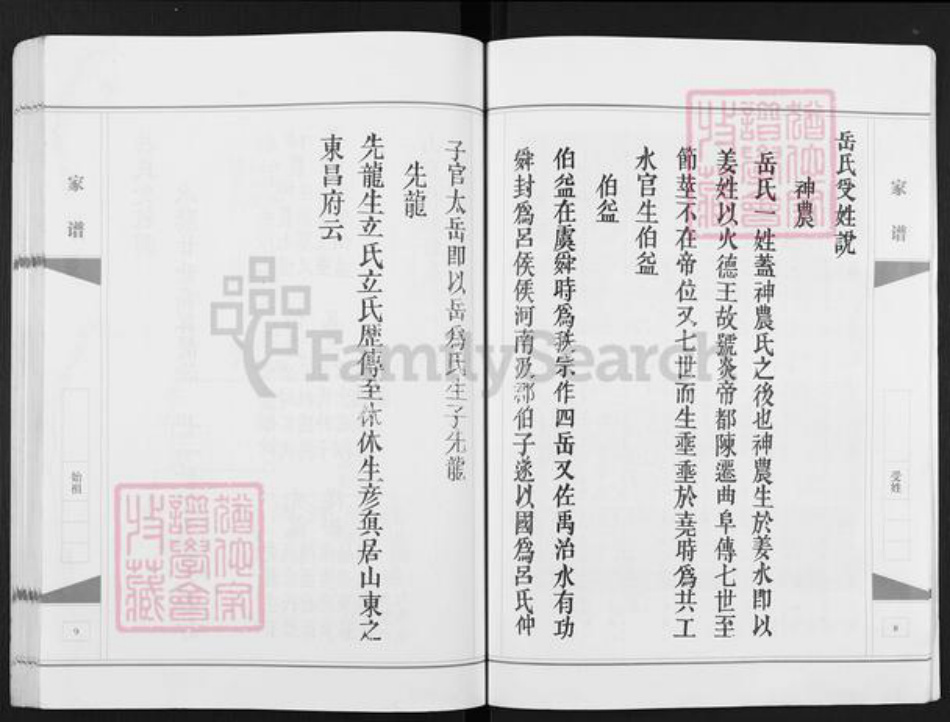 安徽省宿州市埇桥区岳氏精忠堂族谱-岳氏家谱.桃山.pdf电子版插图5