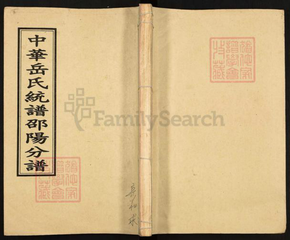 湖南省邵阳市岳氏精忠堂族谱-中华岳氏统谱邵阳分谱.pdf电子版