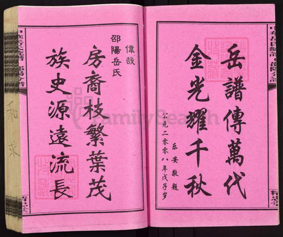 湖南省邵阳市岳氏精忠堂族谱-中华岳氏统谱邵阳分谱.pdf电子版插图2