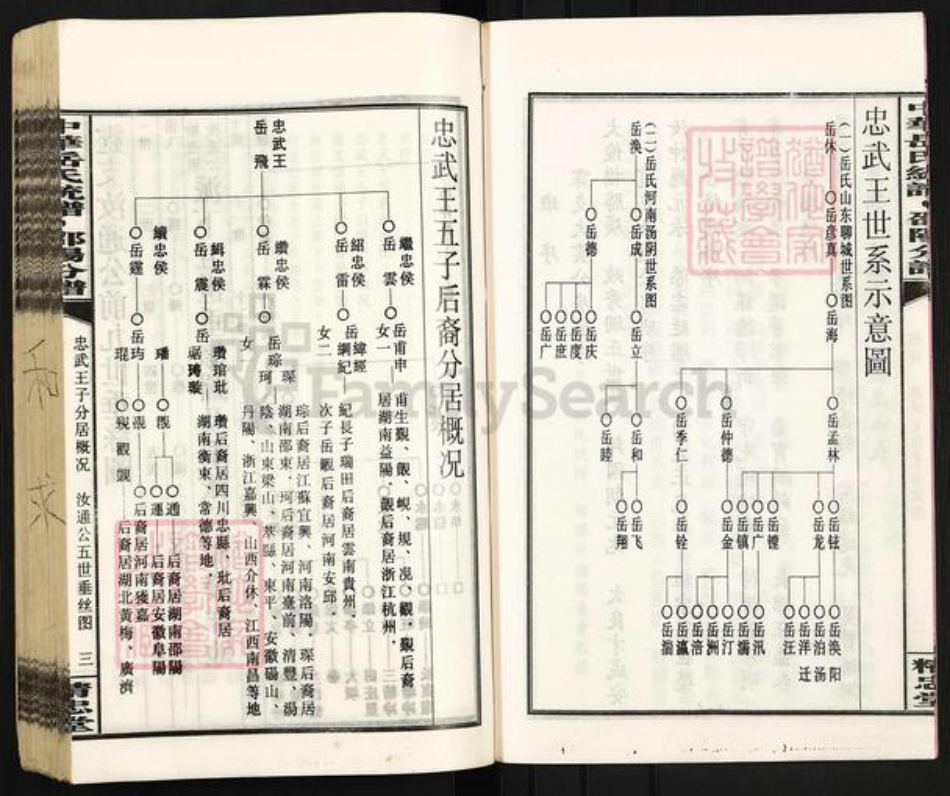 湖南省邵阳市岳氏精忠堂族谱-中华岳氏统谱邵阳分谱.pdf电子版插图5