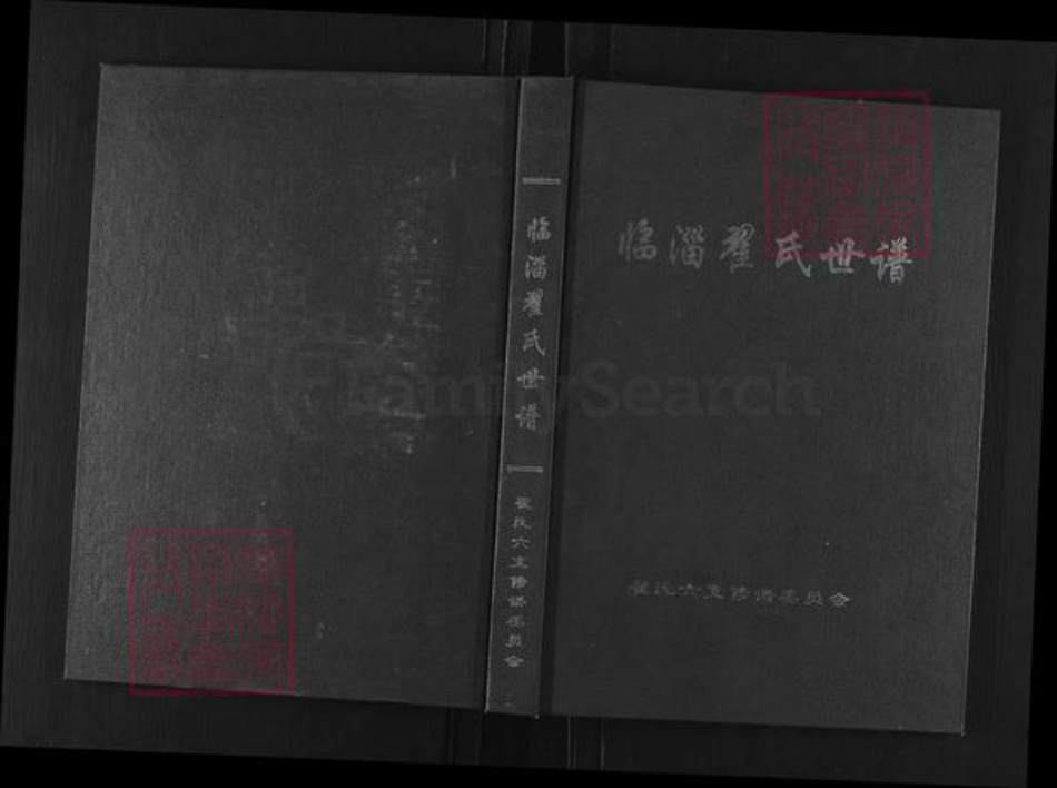 山东省淄博市临淄区翟氏族谱-临淄翟氏世谱.pdf电子版