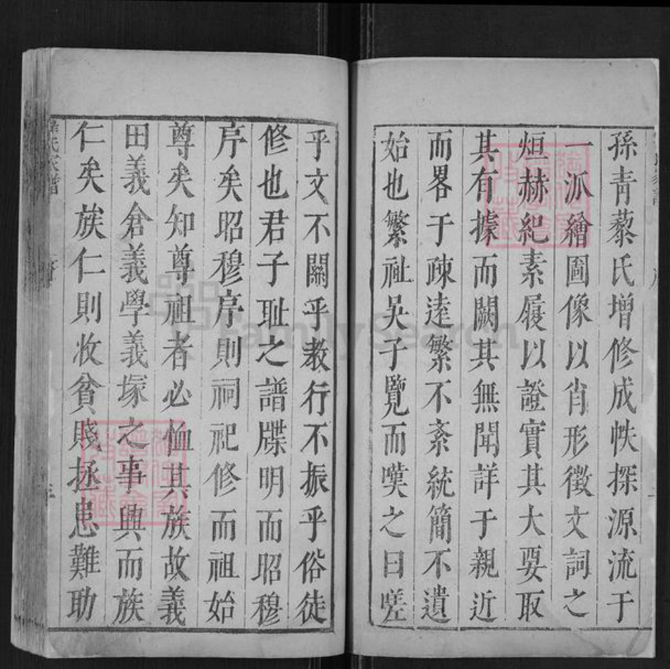 辽宁省辽阳市翟氏族谱-翟氏家谱.pdf电子版插图2