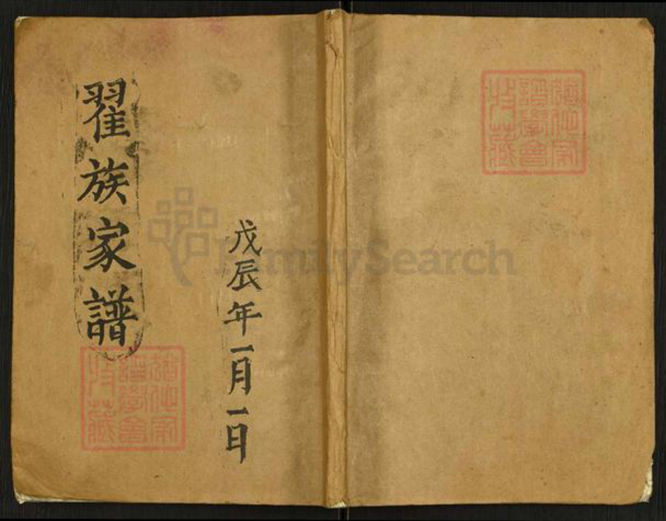 河南省南阳市南召县翟氏族谱-翟族家谱.pdf电子版