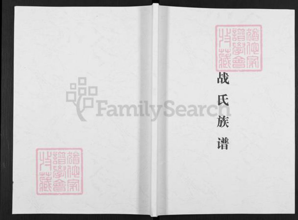 山东省烟台市莱阳市战氏族谱-战氏族谱.pdf电子版