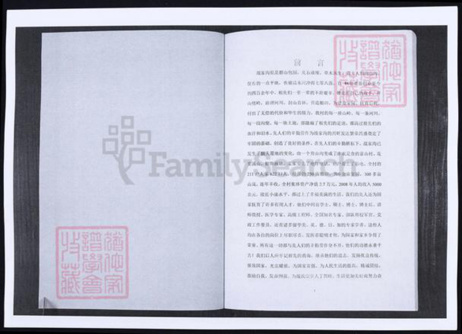 山东省烟台市莱阳市战氏族谱-山东莱阳战氏族谱.pdf电子版插图1