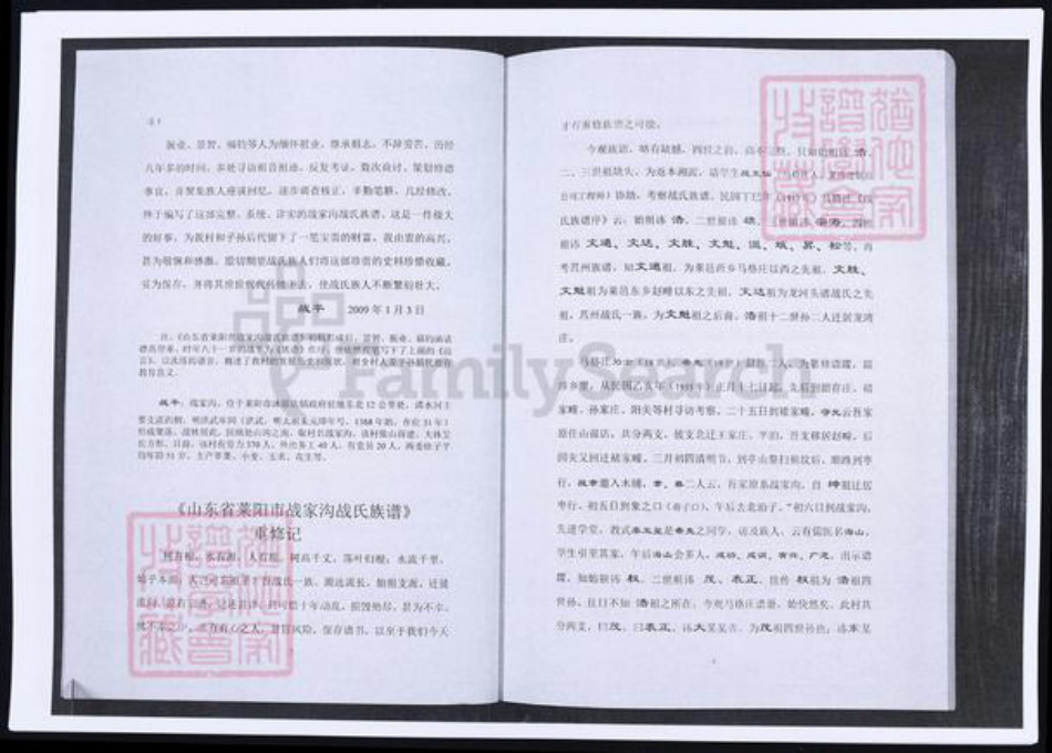 山东省烟台市莱阳市战氏族谱-山东莱阳战氏族谱.pdf电子版插图2