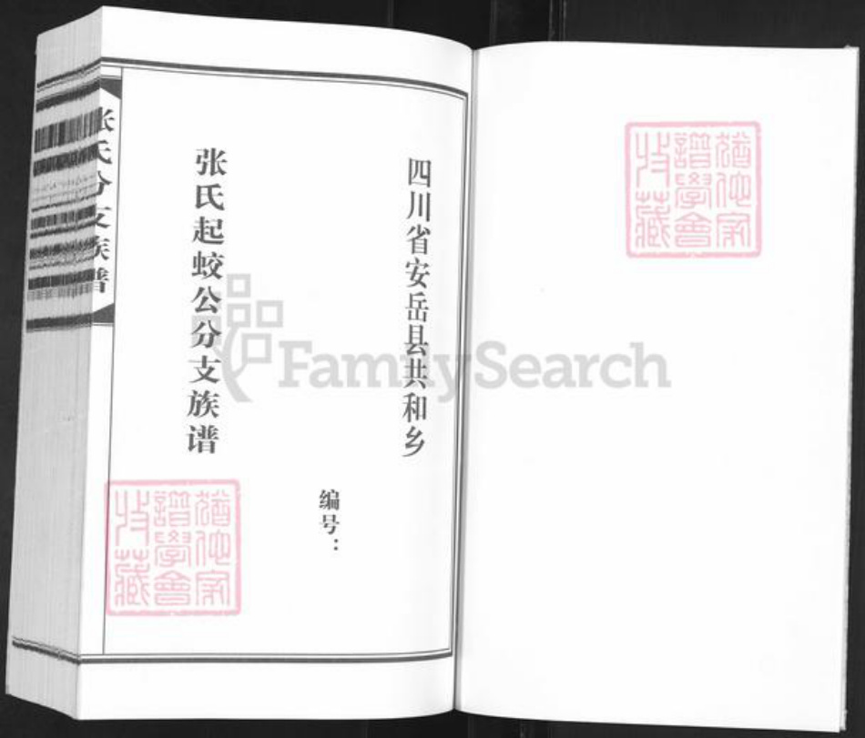 四川省资阳市安岳县协和镇张氏族谱-张氏分支族谱.pdf电子版插图1