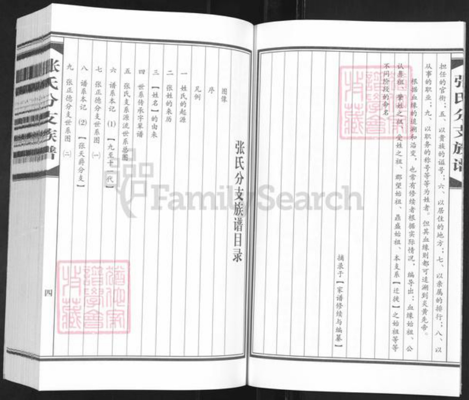 四川省资阳市安岳县协和镇张氏族谱-张氏分支族谱.pdf电子版插图5