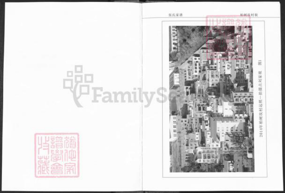 河南省洛阳市栾川县栾川乡张氏族谱-栾川西河柏树坟张氏家谱.pdf电子版插图2