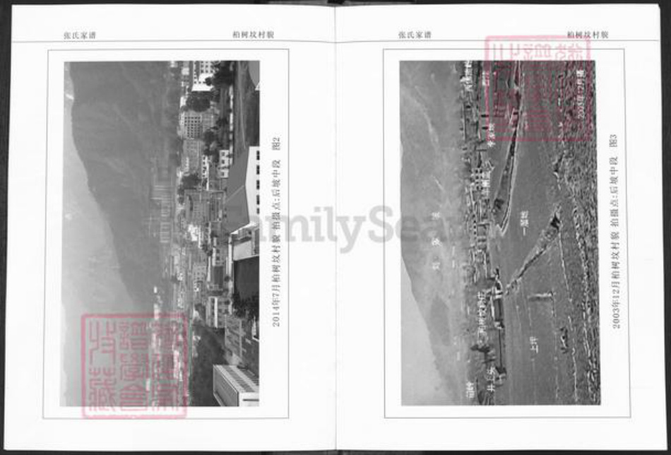 河南省洛阳市栾川县栾川乡张氏族谱-栾川西河柏树坟张氏家谱.pdf电子版插图4