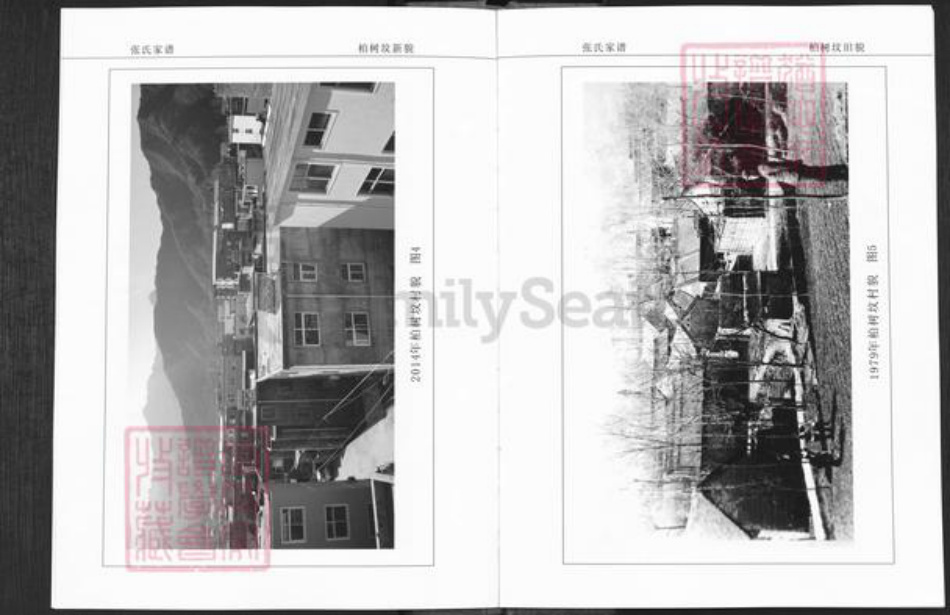 河南省洛阳市栾川县栾川乡张氏族谱-栾川西河柏树坟张氏家谱.pdf电子版插图5