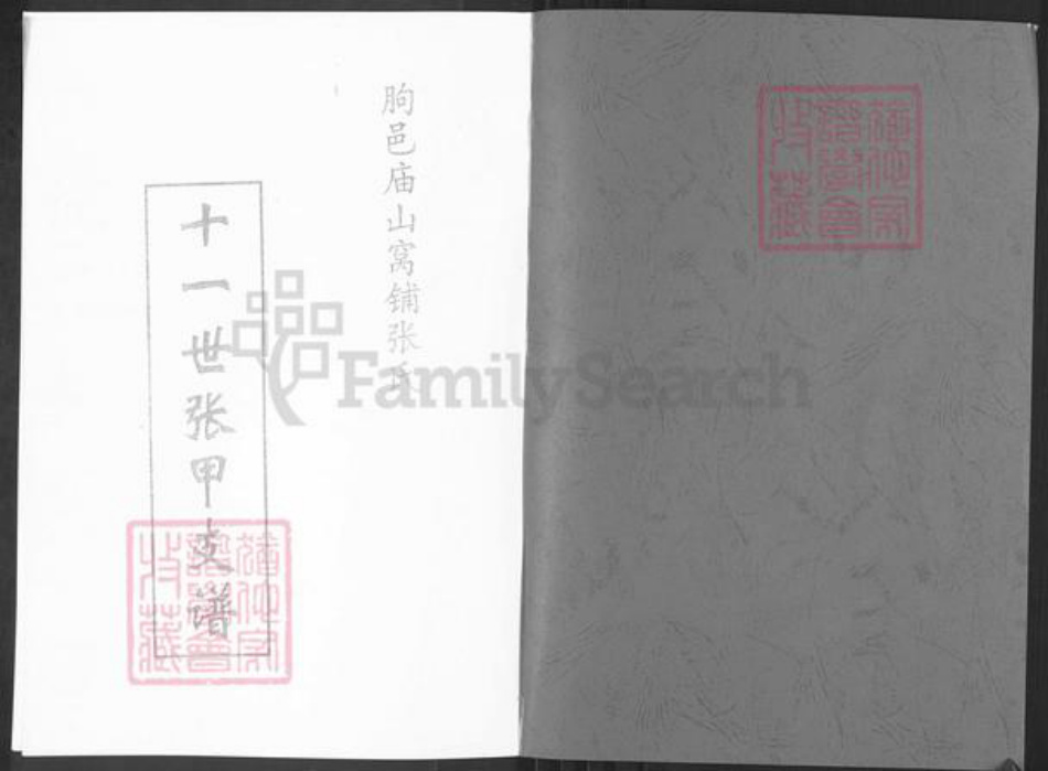 山东省潍坊市临朐县柳山镇张氏族谱-张氏族谱张甲支谱.pdf电子版插图1