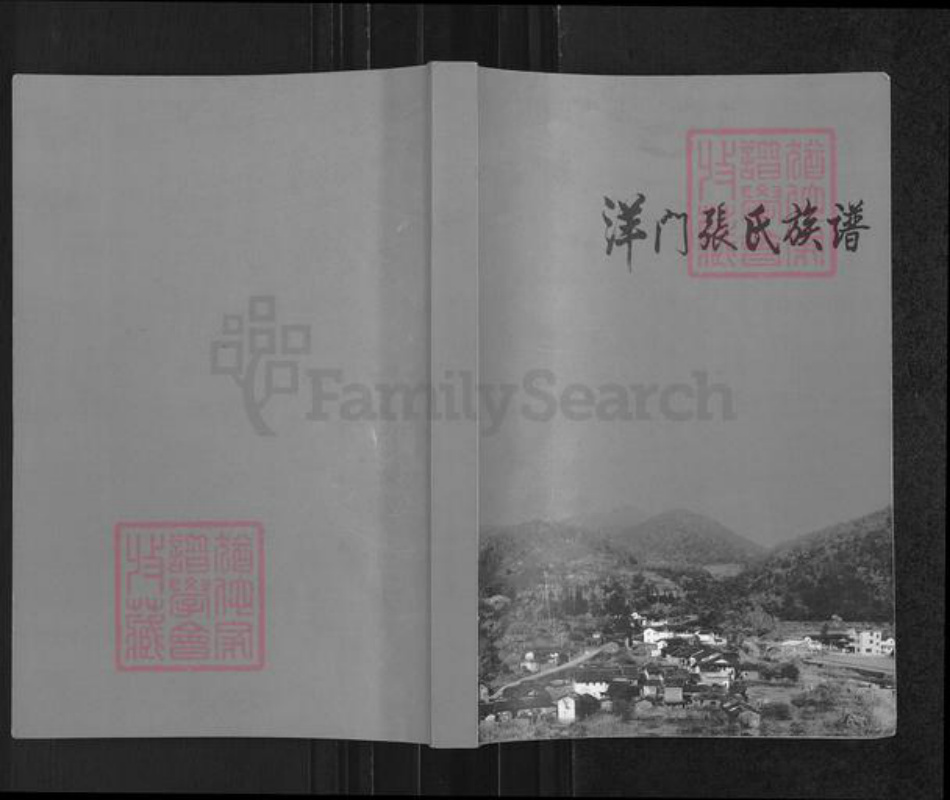 广东省梅州市大埔县茶阳镇张氏族谱-洋门张氏族谱.pdf电子版