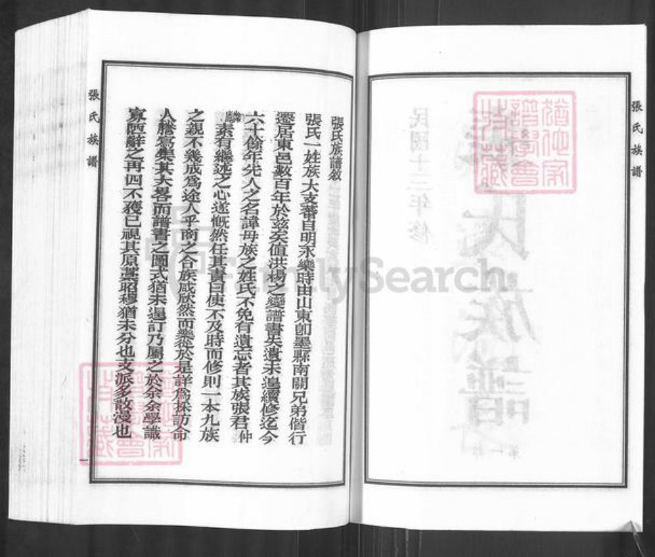 河北省沧州东光县于桥乡张氏族谱-张氏族谱.pdf电子版插图3