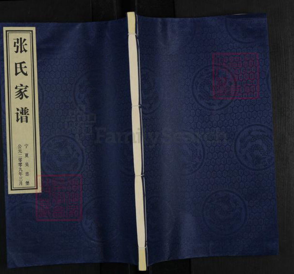 宁夏回族自治区吴忠市利通区张氏族谱-张氏家谱.pdf电子版