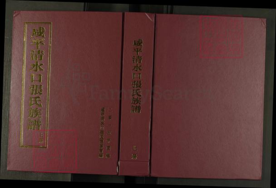 河南省开封市通许县张氏族谱-咸平清水口张氏族谱.pdf电子版