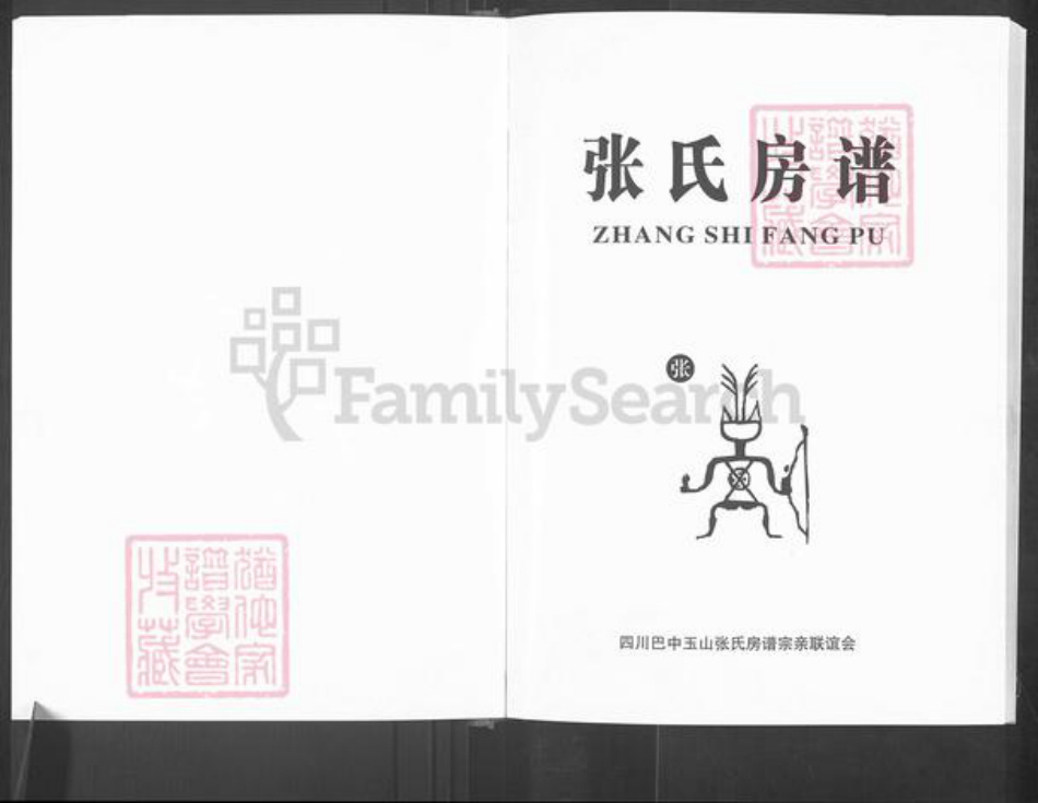 四川省巴中市恩阳区玉山镇张氏百忍堂族谱-张氏房谱.pdf电子版插图1