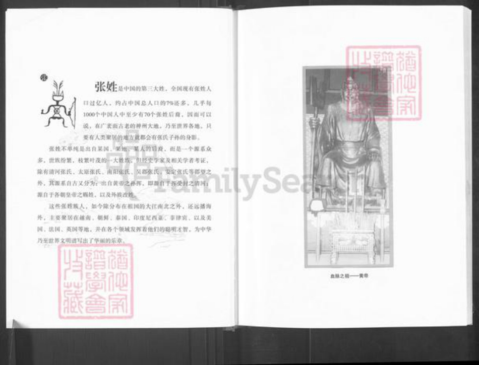 四川省巴中市恩阳区玉山镇张氏百忍堂族谱-张氏房谱.pdf电子版插图3