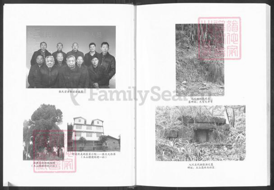 四川省巴中市恩阳区玉山镇张氏百忍堂族谱-张氏房谱.pdf电子版插图5