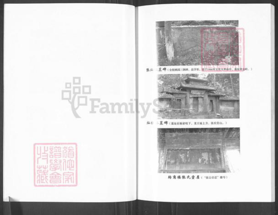 四川省巴中市平昌县张氏百忍堂族谱-张氏家谱.转角楼.pdf电子版插图5