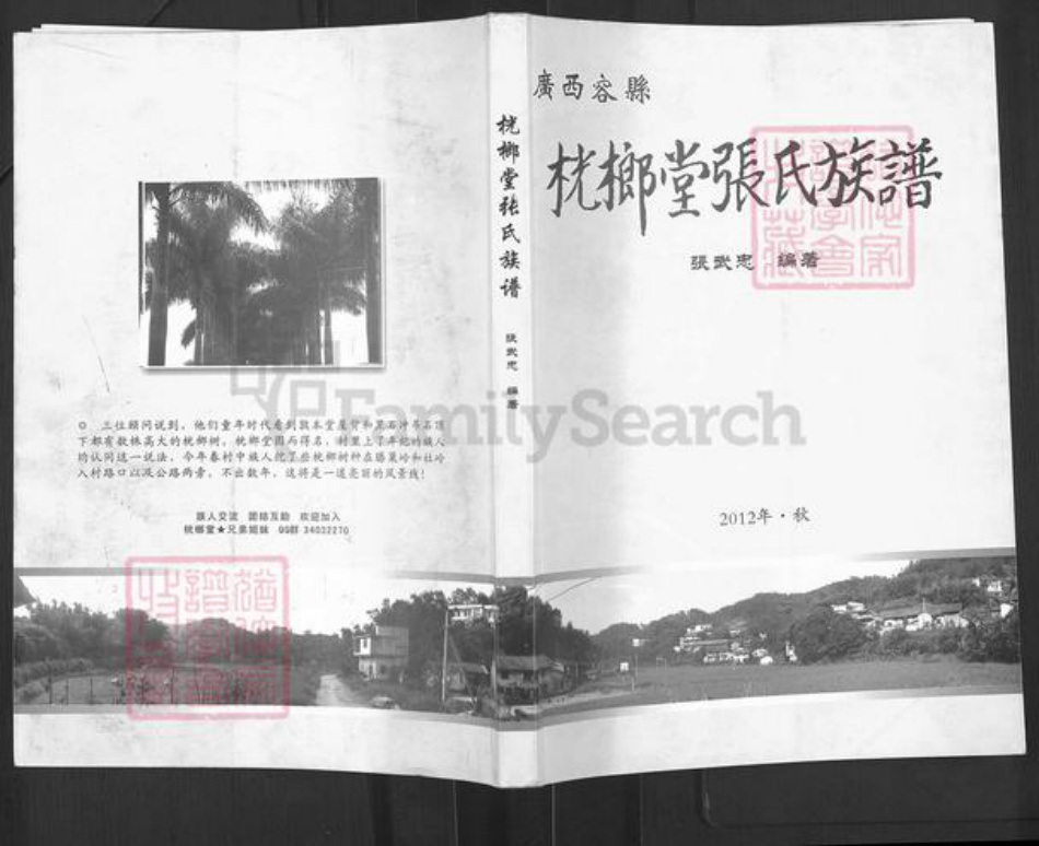 广西壮族自治区玉林容县张氏桄榔堂族谱-桄榔堂张氏族谱.pdf电子版