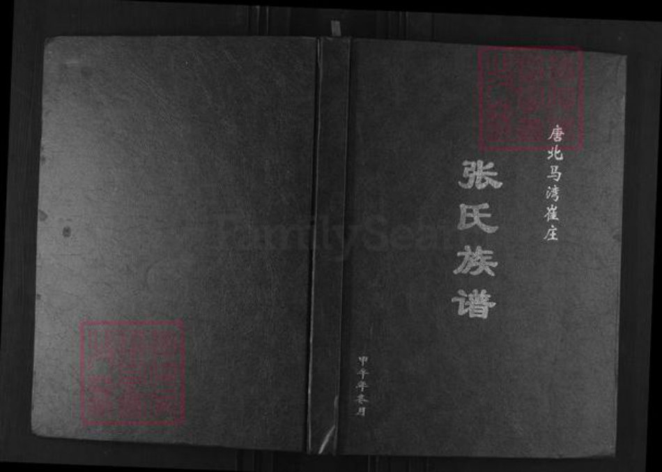 河南省南阳市唐河县源潭镇张氏族谱-唐北马湾崔庄张氏族谱.pdf电子版