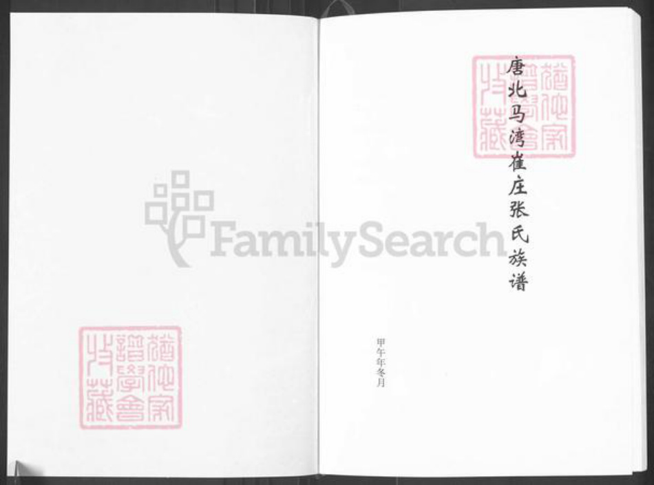 河南省南阳市唐河县源潭镇张氏族谱-唐北马湾崔庄张氏族谱.pdf电子版插图1