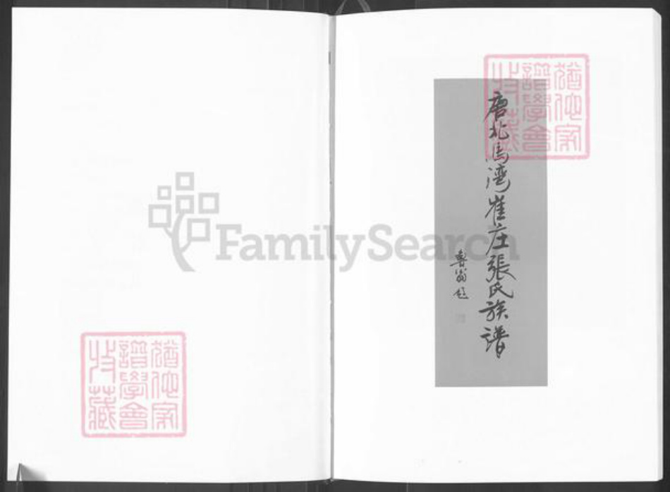 河南省南阳市唐河县源潭镇张氏族谱-唐北马湾崔庄张氏族谱.pdf电子版插图3