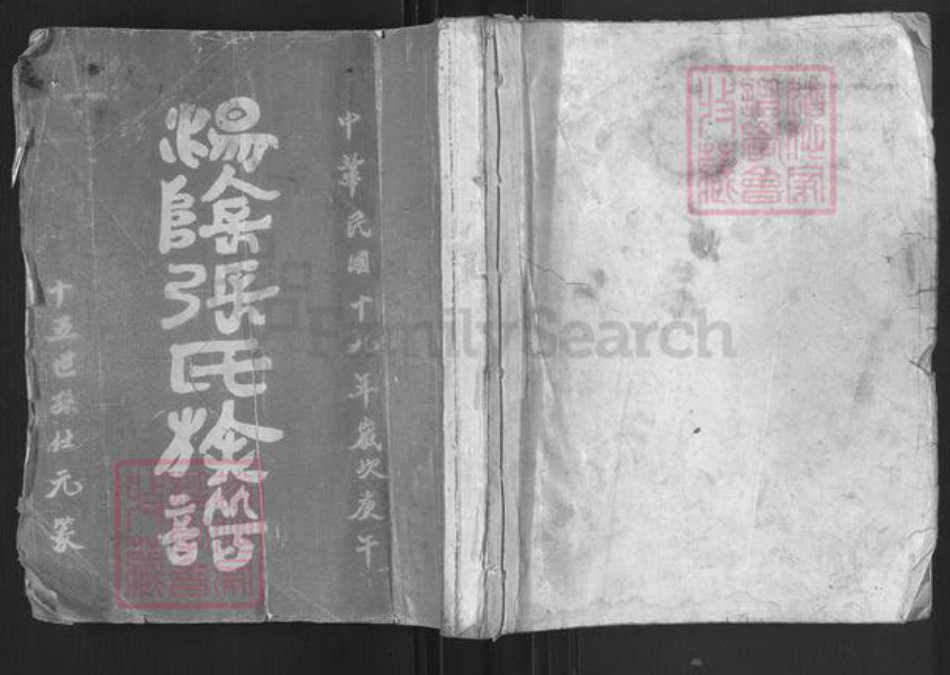 河南省安阳市汤阴县任固镇张氏族谱-汤阴张氏族谱.pdf电子版