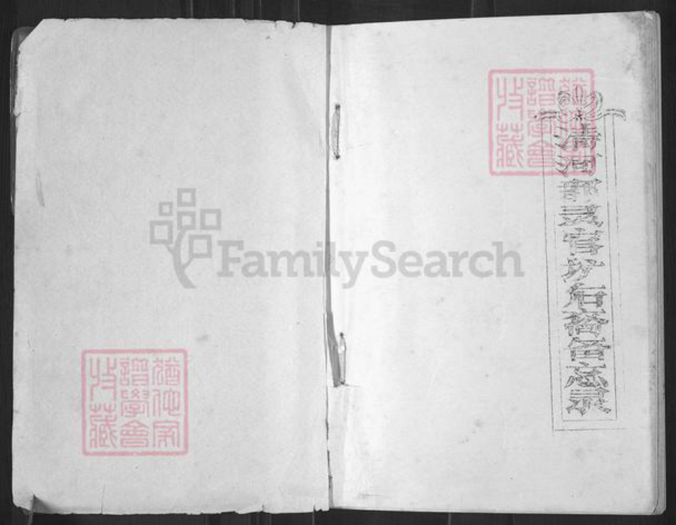 湖南省长沙市浏阳市沙市镇张氏族谱-清河郡陵官圹后裔备忘录.pdf电子版插图1