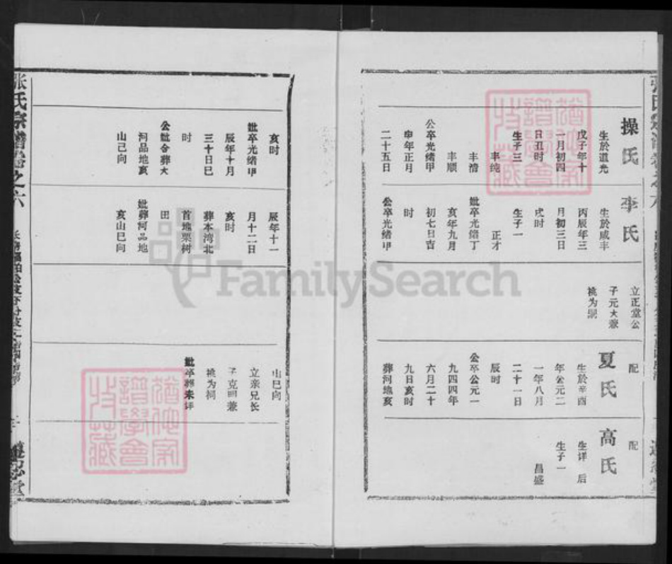 湖北省武汉市新洲区辛冲街道张氏族谱-张氏宗谱.pdf电子版插图3 湖北省武汉市新洲区辛冲街道张氏族谱-张氏宗谱.pdf电子版插图3