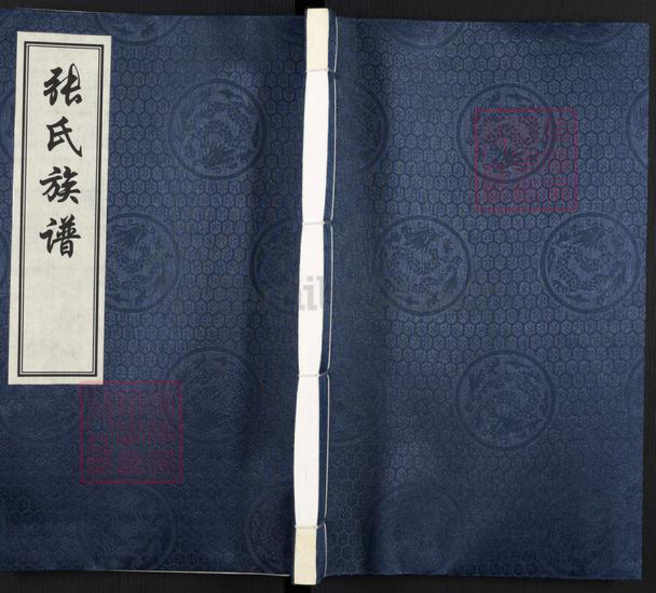 河北省沧州河间市张氏族谱-张氏族谱.pdf电子版