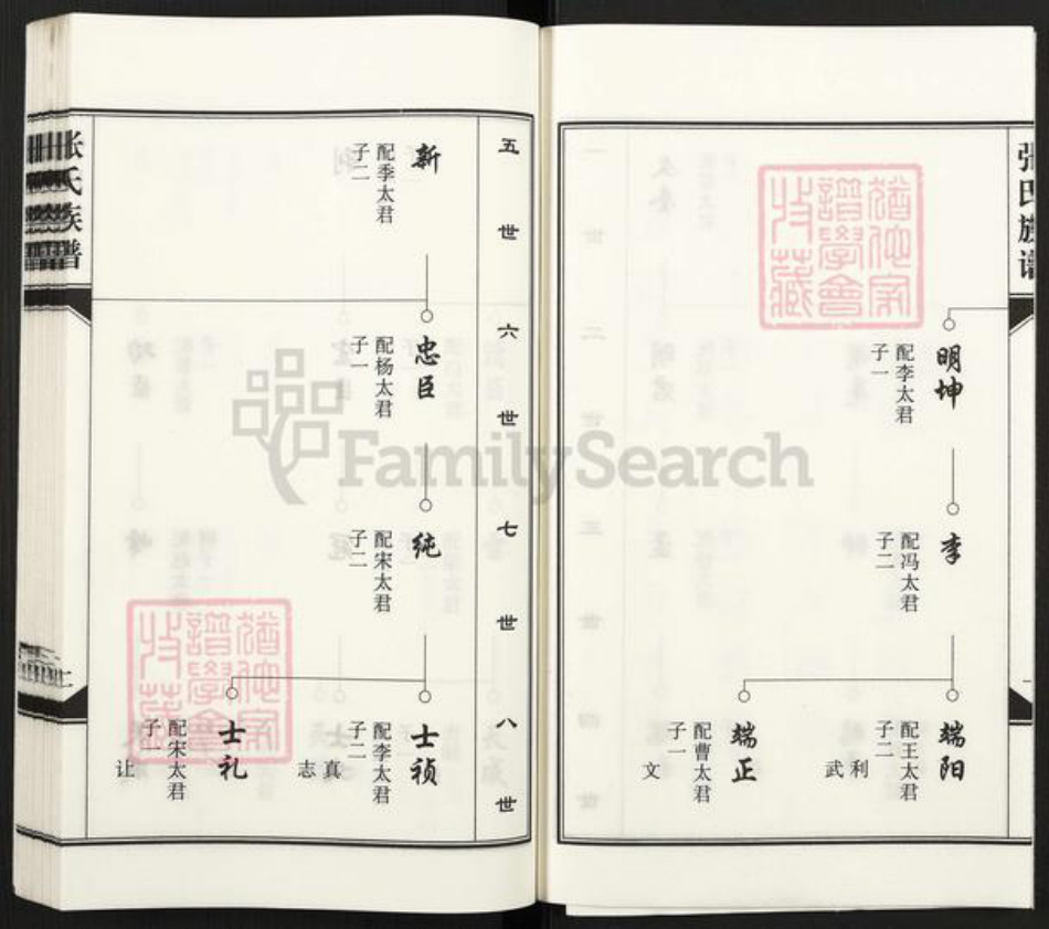 河北省沧州河间市张氏族谱-张氏族谱.pdf电子版插图4