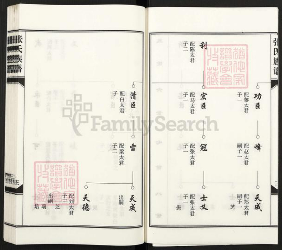 河北省沧州河间市张氏族谱-张氏族谱.pdf电子版插图5