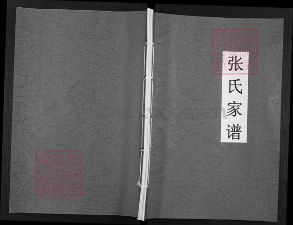 福建省龙岩市武平县东留乡张氏族谱-张氏家谱.pdf电子版