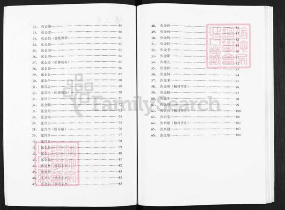 江苏省扬州市邗江区张氏百忍堂族谱-张府宗谱.pdf电子版插图2