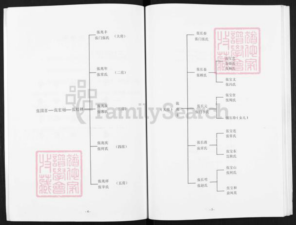 江苏省扬州市邗江区张氏百忍堂族谱-张府宗谱.pdf电子版插图5