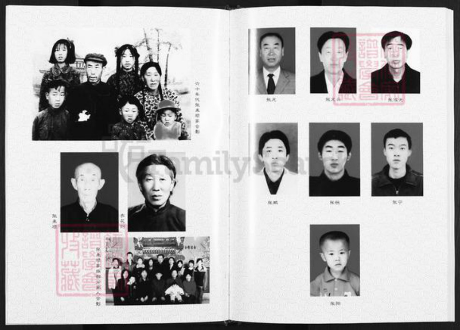 陕西省榆林神木市张氏族谱-张氏家谱.pdf电子版插图4