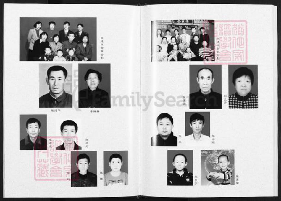 陕西省榆林神木市张氏族谱-张氏家谱.pdf电子版插图5