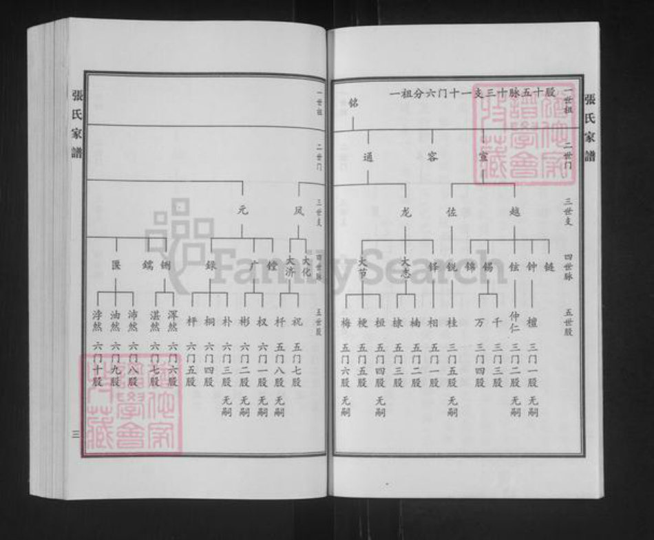 河北省沧州泊头市营子镇张氏族谱-张氏家谱.pdf电子版插图4