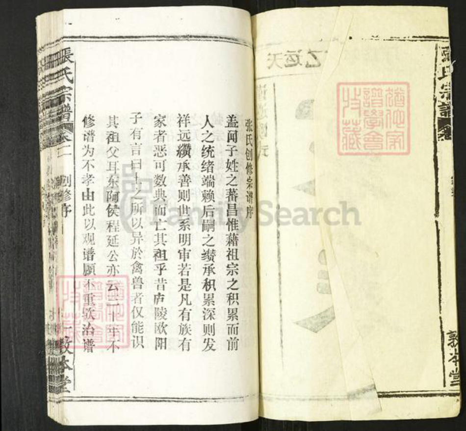 湖北省张氏敦本堂族谱-张氏宗谱.pdf电子版插图2